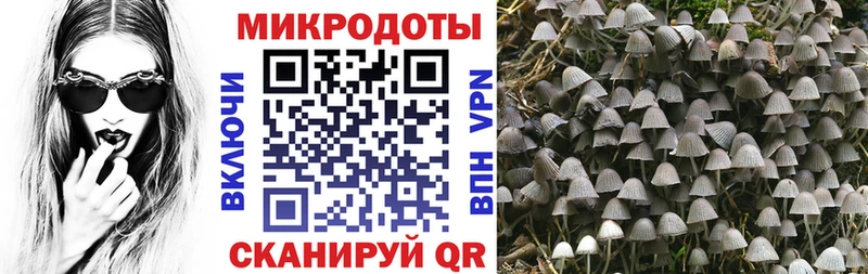 Псилоцибиновые грибы MAGIC MUSHROOMS  что такое наркотик  Калязин 